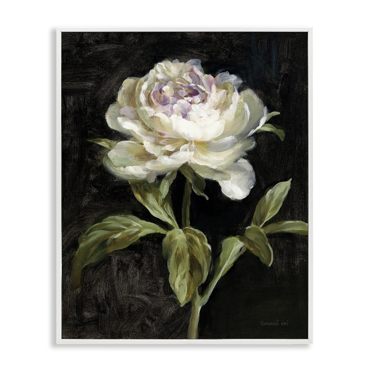 Stupell Industries Peony on Black Framed Giclee Wall Art Design by Danhui Nai
